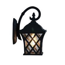 Salvius Steel Outdoor Wall Light